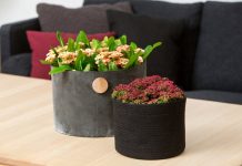 1. Xương rồng bát tiên  Xương rồng bát tiên là một loài cây bản địa của vương quốc đảo Madagascar. Người dân ở đây trồng xương rồng bát tiên từ rất lâu đời với công dụng làm hàng rào, một số khác trồng chúng trong chậu đặt trong nhà với mục đích trang trí.  Xương rồng bát tiên có tên khoa học là Euphorbia milii thuộc họ cây đại kích (Euphorbiaciae). Nó được mang tên của vị thống đốc của đảo Reunion, ngài Baron Pierre-Bernard Milius. Vào năm 1821, vị thống đốc này đã giới thiệu xương rồng bát tiên tại Pháp như một loại cây cảnh trong nhà. Sau đó ông tặng nó cho Vườn Bách thảo Bordeaux (Pháp).  Tại Thái Lan, xương rồng bát tiên có tên là Siamese lucky Plant mang ý nghĩa loài thực vật may mắn của xứ sở này.  Ngày nay, cây bát tiên đã được nhiều người biết đến, do cây dễ trồng, siêng hoa, hoa to màu sắc đẹp và nhất là lâu tàn. Trồng bát tiên đảm bảo ngày nào cũng có hoa trưng bày trang trí làm đẹp ngôi nhà, sân vừơn, phòng khách…. 