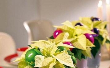 trang trí sân vườn giáng sinh