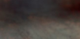 Gan ngỗng áp chảo cho ngày thu cực đơn giản 