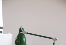 Bật mí cây cảnh văn phòng đẹp, dễ sống - 1