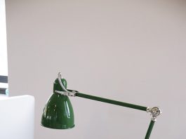 Bật mí cây cảnh văn phòng đẹp, dễ sống - 1