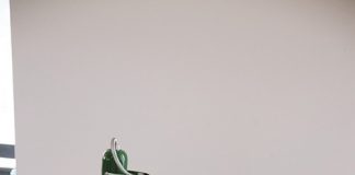 Bật mí cây cảnh văn phòng đẹp, dễ sống - 1