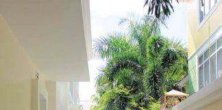 Sáng tạo nhà Pháp trong vườn Nhật - 1