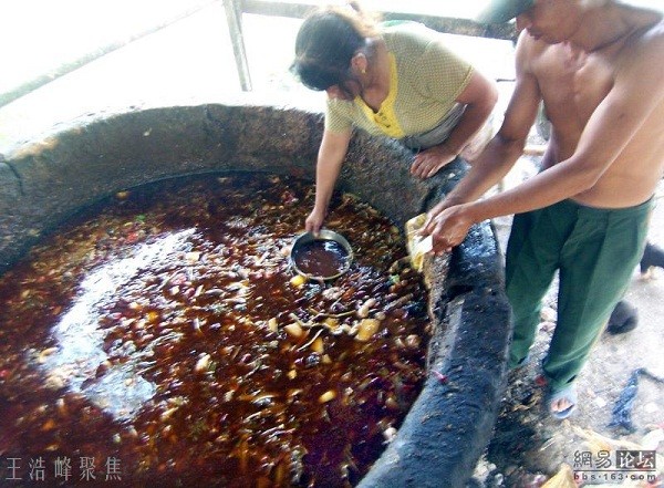 Cận cảnh cách biến nước thải thành dầu ăn ở Trung Quốc 2