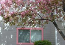 trang trí cửa sổ