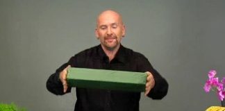 Tự tạo vườn hoa mini trang trí nhà - Archi