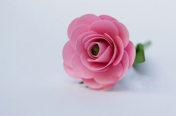 Học nhanh cách làm hoa hồng bằng giấy xốp tặng thầy cô9