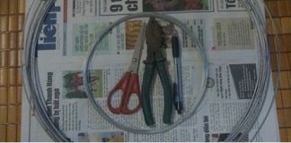 Cách làm lồng đèn bằng giấy hình con bướm đẹp chưa từng thấy1