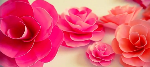 Làm hoa hồng giấy vừa rẻ vừa đẹp trang trí nhà