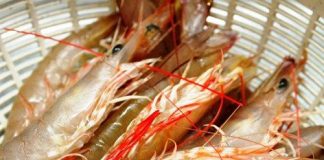 Chưa đầy 5 phút có ngay đĩa tôm luộc thơm ngon đãi cả nhà