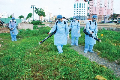 Bệnh sốt xuất huyết: dấu hiệu, cách phòng và điều trị