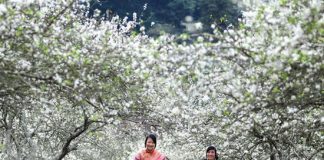 6 lí do chị em nên đi du lịch vào tháng 11