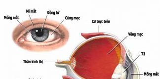 Bảo vệ giác mạc để tránh nguy cơ bị loét 1