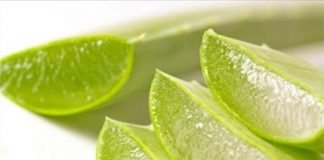 Cách làm đẹp da bằng nha đam hiệu quả cho từng loại da