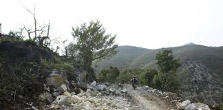 Cuối năm lên Mộc Châu ngắm hoa mận nở