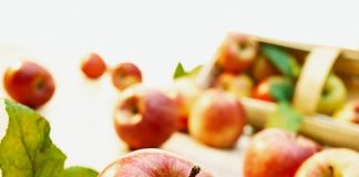 Thực phẩm tốt cho xương khớp trong mùa đông - 1