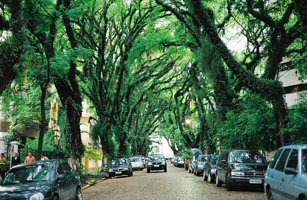 Chiêm ngưỡng con đường cổ tích đẹp ở Brazil