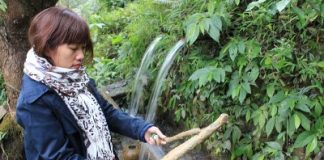 Kỳ lạ dòng suối biến mọi thứ thành đá