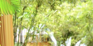 Kiwi Mai Trang: "Với chồng, tôi luôn "lạt mềm buộc chặt"