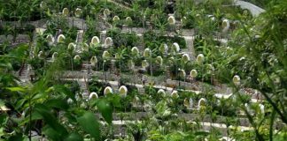 Sổ tay du lịch so tay du lich Sotaydulich  Sotay Dulich Khampha Kham Pha Bui Khu du lịch Trăm Trứng độc đáo ở Nha Trang