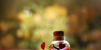 Lời thật lòng của người say, mong bạn chớ quên