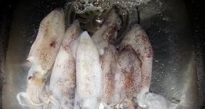 Cách làm món mực luộc lá ngải lạ lạ ngon ngon