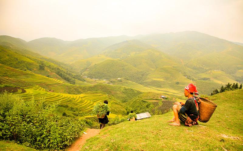 Các điểm du lịch trái mùa rẻ và đẹp nhất Việt Nam