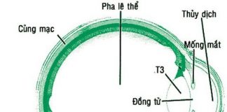 Cách xử lý khi bị đau mắt