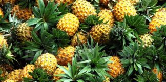 Thận trọng khi ăn dứa quả tươi