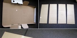 Hướng dẫn cắm hoa lan trang trí nhà mình