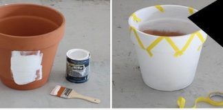 Cách F5 chậu trồng cây từ chiếc chậu đất nung cũ