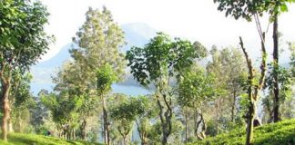 Sri Lanka - xanh tươi vùng Nam Á