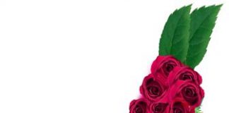 Đốt cháy calo mà không cần tập luyện