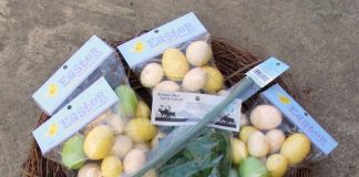 Làm vòng nguyệt quế trứng phục sinh treo cửa nổi bật