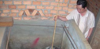 Hướng dẫn kỹ thuật nuôi nhím