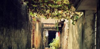 Phong thủy cho nhà cuối ngõ - 1