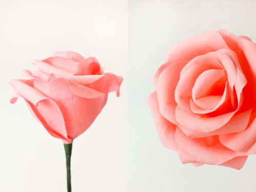 Cách làm hoa hồng bằng giấy khổ lớn để bạn chụp ảnh