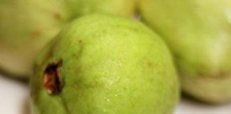 Tối làm ổi dầm xí muội nhâm nhi ngon tuyệt