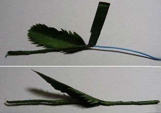 Cách làm hoa cúc bằng giấy từ việc cắt giấy