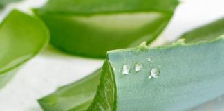 Bí quyết trị mụn hiệu quả từ nha đam