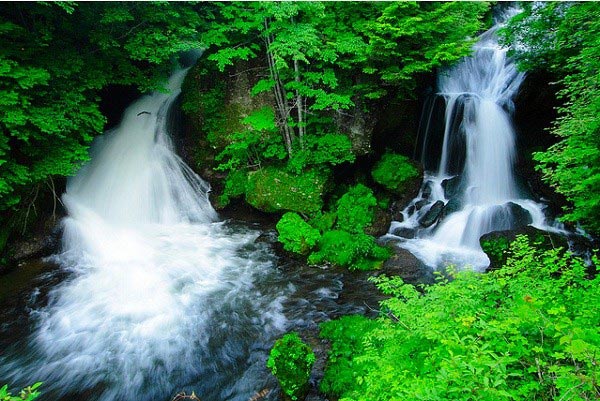 Ghé thăm vườn quốc gia Nikko Nhật Bản