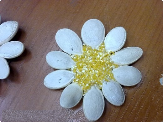 Cách làm bông hoa từ hạt bí đao 'chưa bao giờ dễ hơn'