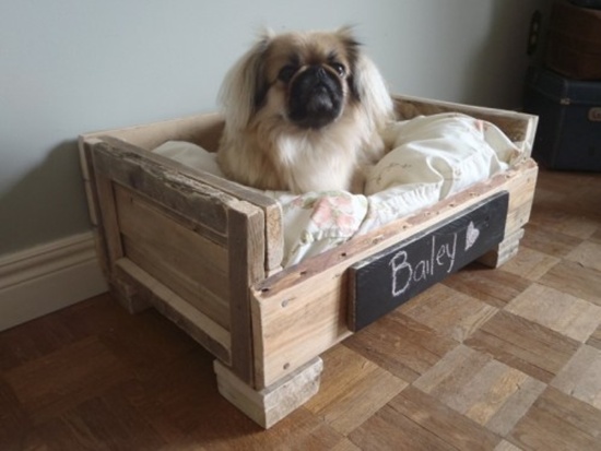 7 cách làm giường home-made độc đáo cho thú cưng