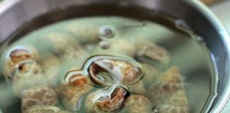 Ốc hương xào tương