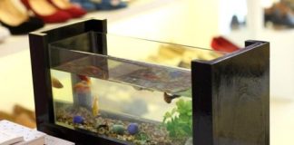 7 dấu hiệu cảnh báo gia đình bạn đang gặp vận xui