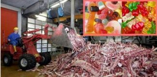 Thì ra đây là thành phần chính của những chiếc kẹo chip chip dai dẻo