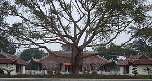 Hành trình về thăm quê Bác