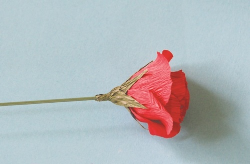 Góp giấy học cách làm hoa hồng đơn giản mà đẹp 'miễn bàn'