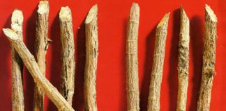 070411 suckhoe camthao 10 bài thuốc giúp chữa trị bệnh sởi