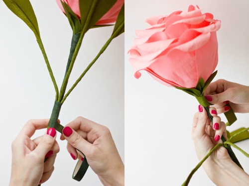 Cách làm hoa hồng bằng giấy khổ lớn để bạn chụp ảnh